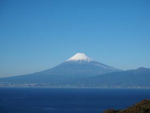 富士山の見える伊豆でピンクコンパニオン宴会